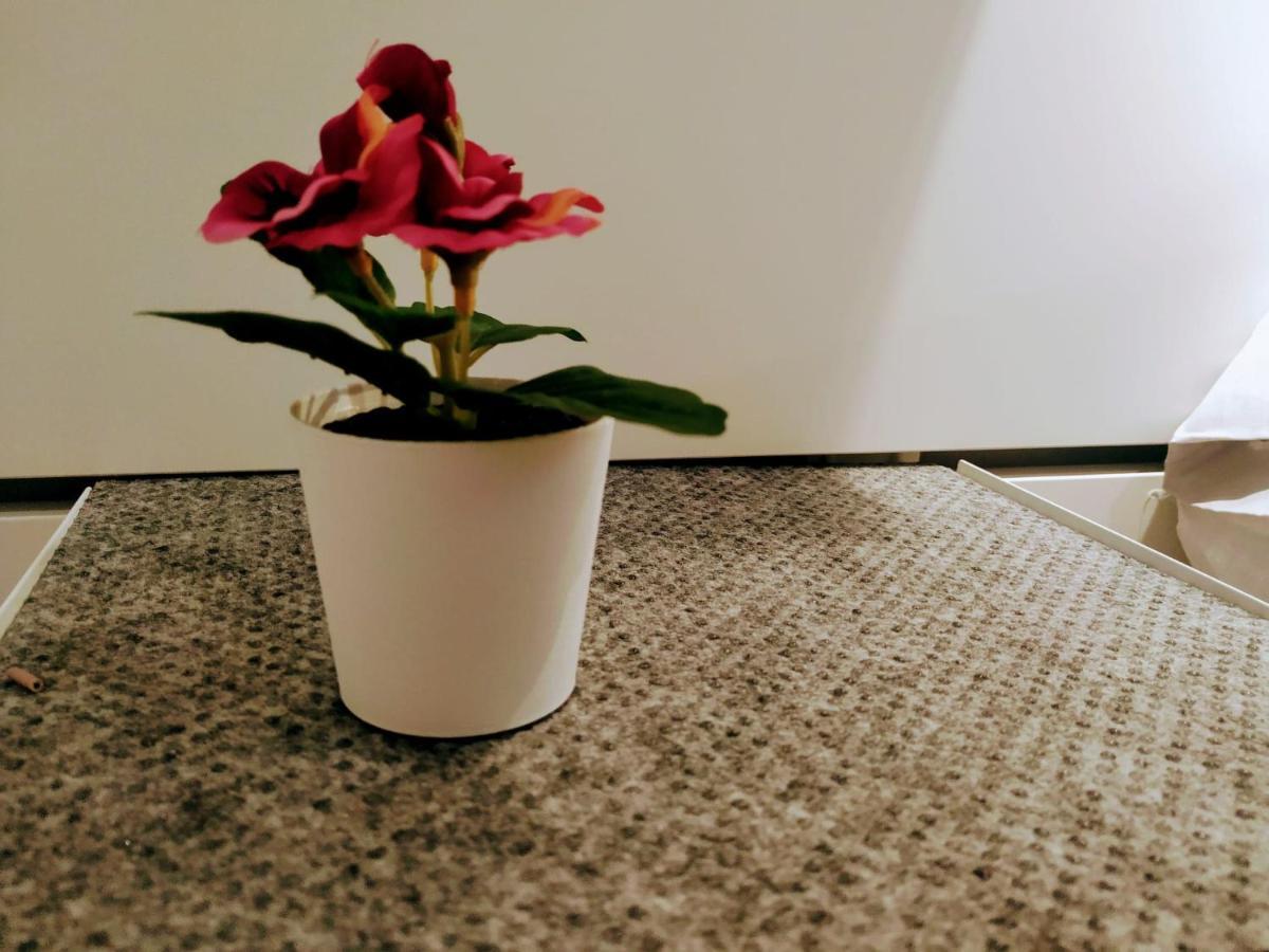 ヒホンInstituto 2ºアパートメント エクステリア 写真